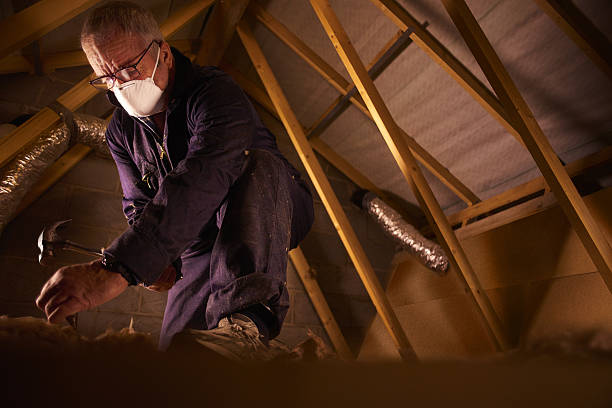 Best Spray Foam Insulation in Douglas, AZ